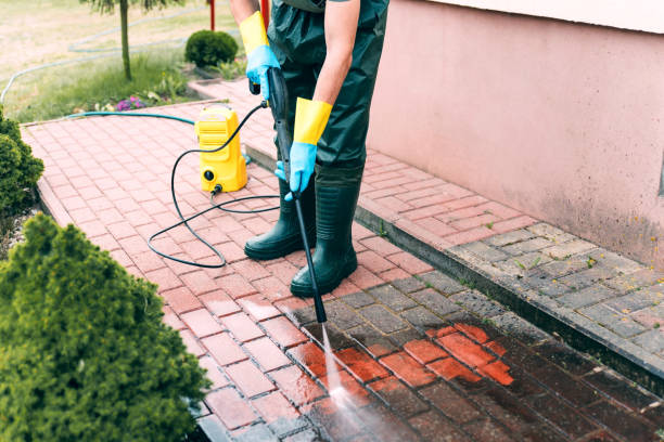 Best Animal Enclosure Cleaning  in Deerwood, TX