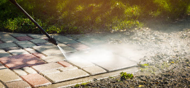 Solar Panel Cleaning in Deerwood, TX
